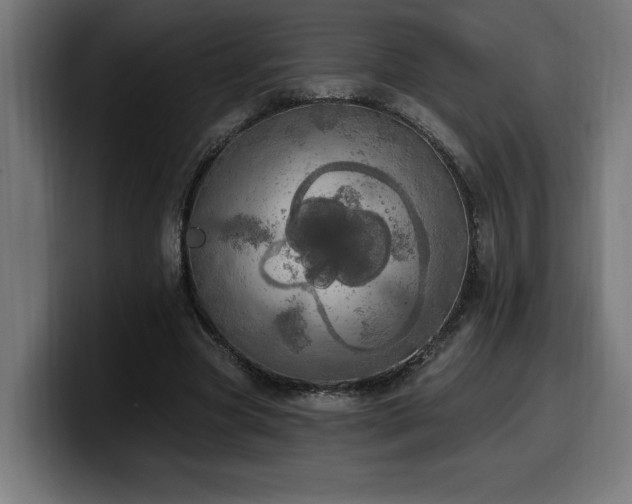 X0000100500537200806131438