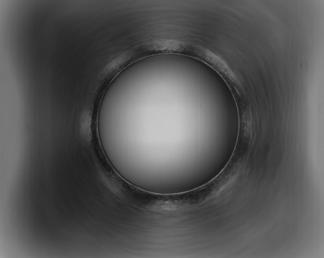 X0000100500538200806131438