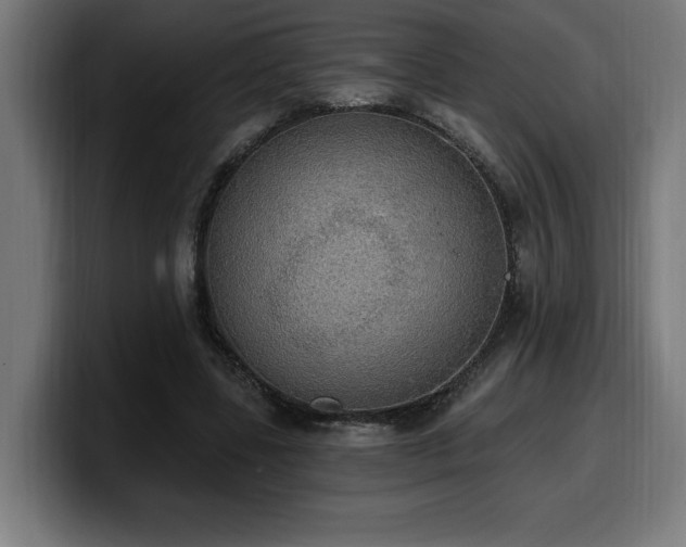 X0000100500539200806131438