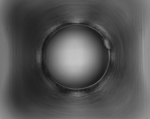 X0000100500540200806131438