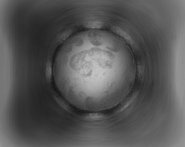 X0000100500541200806131438