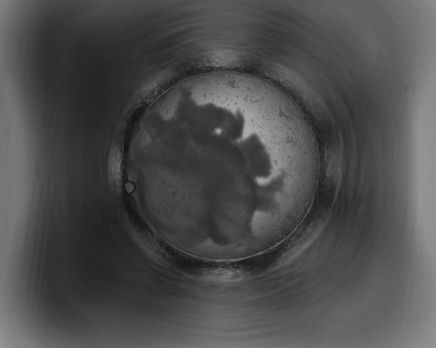 X0000100500542200806131438