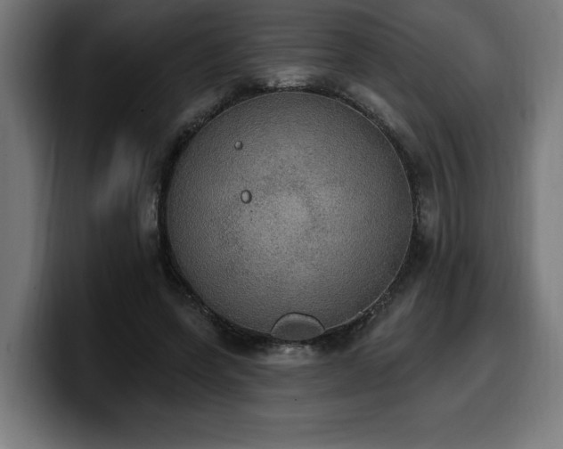 X0000100500543200806131438