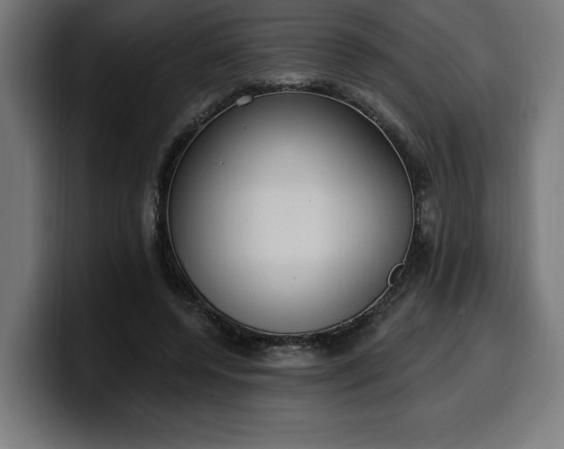 X0000100500544200806131438