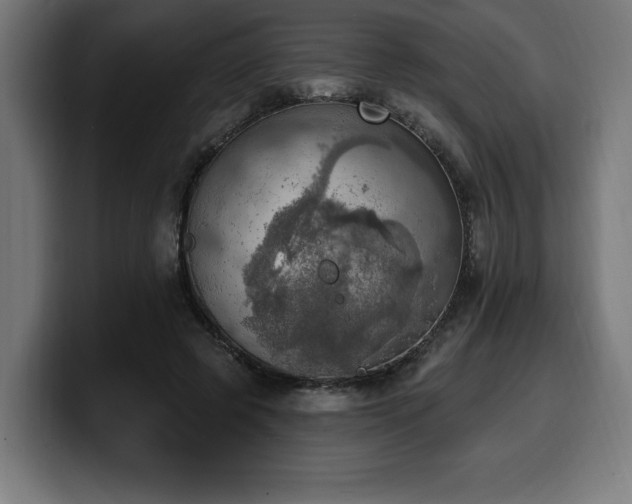 X0000100500545200806131438