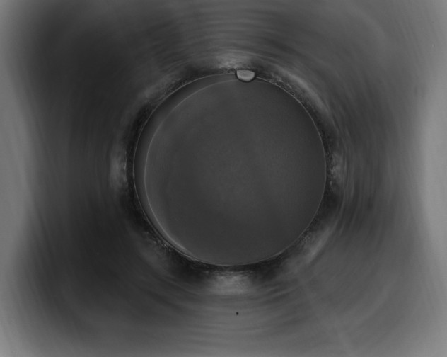 X0000100500547200806131438