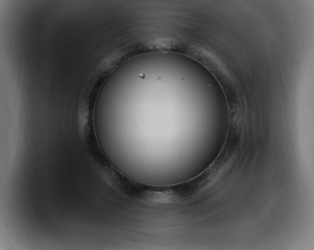 X0000100500548200806131438