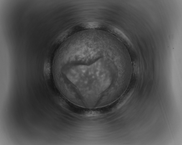 X0000100500549200806131438