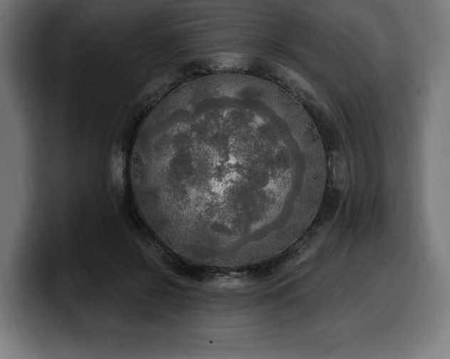 X0000100500550200806131438