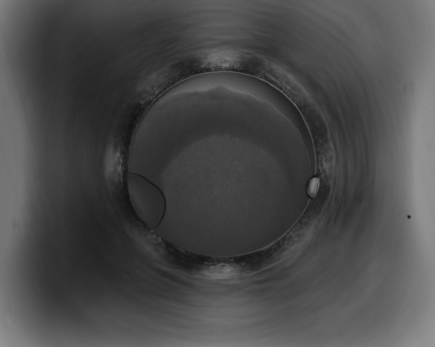 X0000100500551200806131438