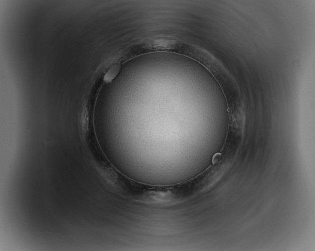 X0000100500552200806131438