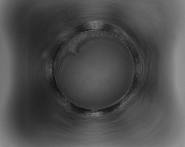 X0000100500553200806131438