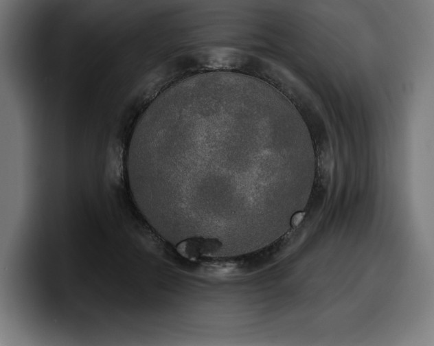 X0000100500554200806131438