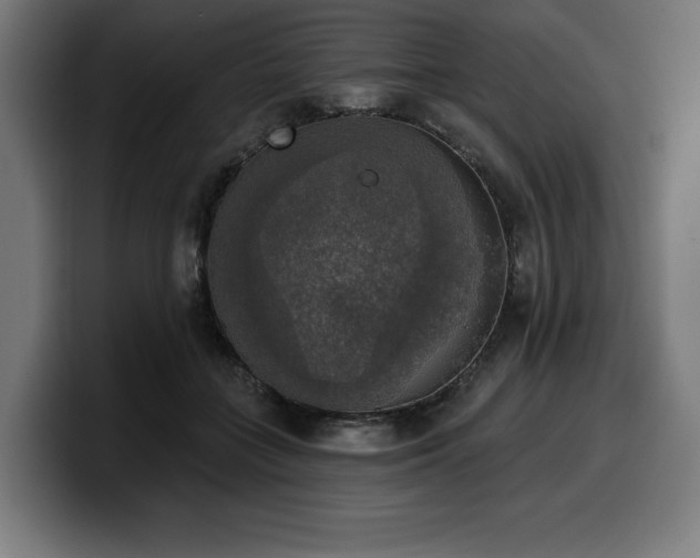 X0000100500555200806131438