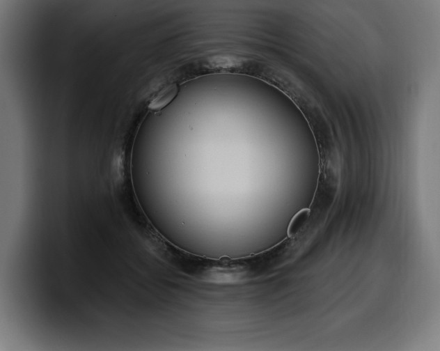 X0000100500556200806131438