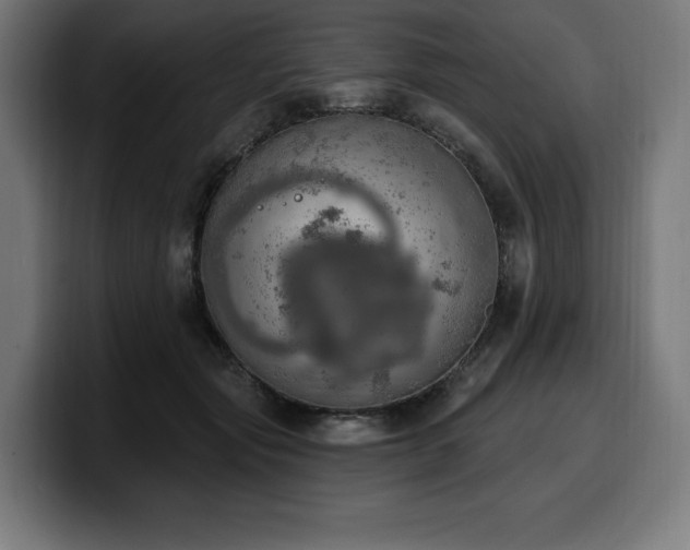 X0000100500557200806131438