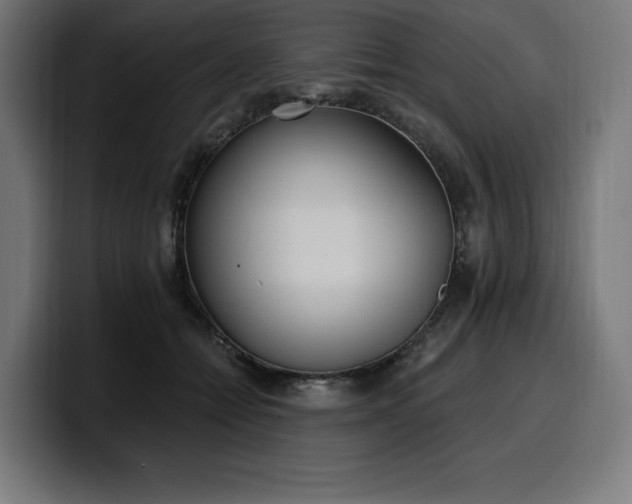 X0000100500558200806131438