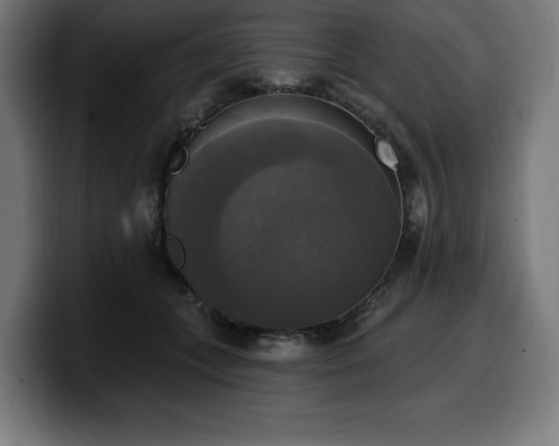 X0000100500559200806131438