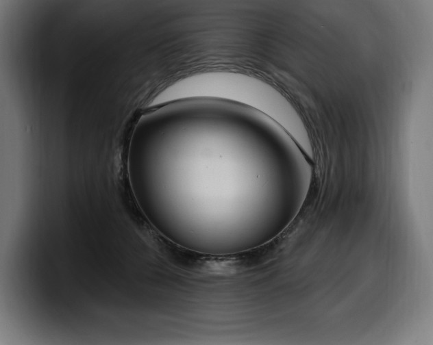 X0000100500560200806131438