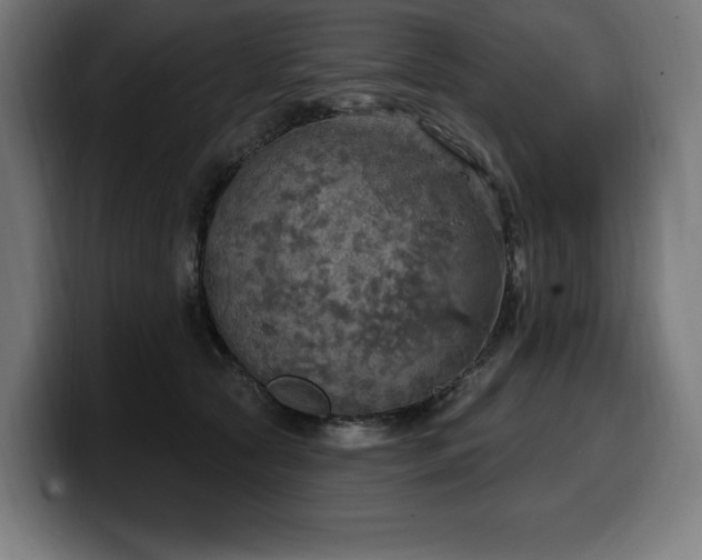 X0000100500561200806131438