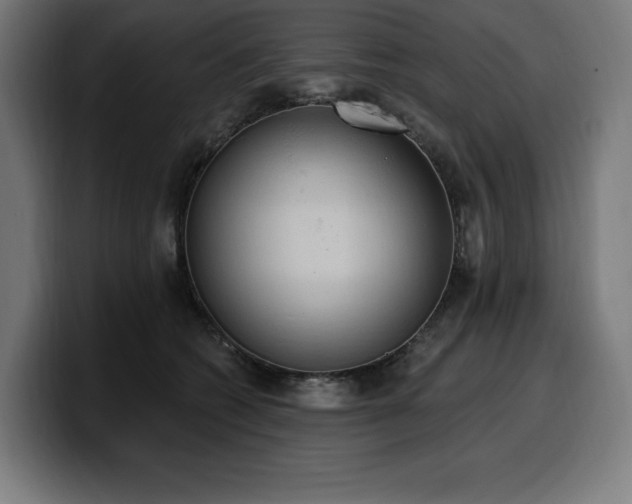 X0000100500562200806131438