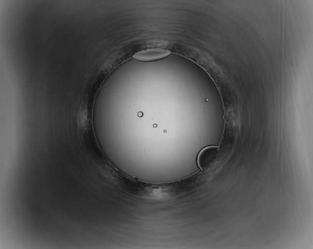 X0000100500564200806131438