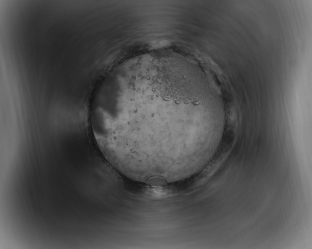 X0000100500565200806131439