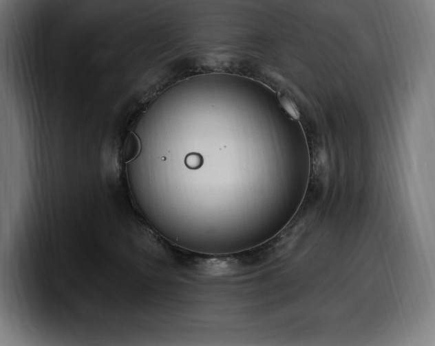 X0000100500566200806131439