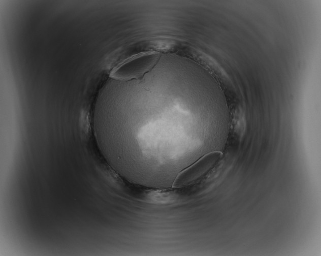 X0000100500568200806131439