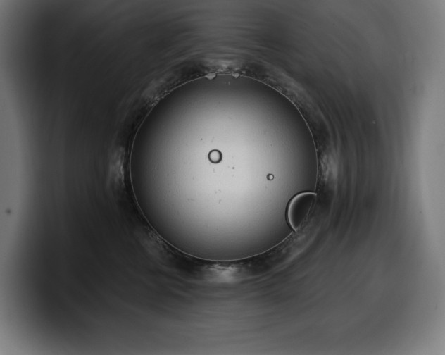 X0000100500570200806131439