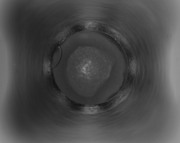 X0000100500571200806131439