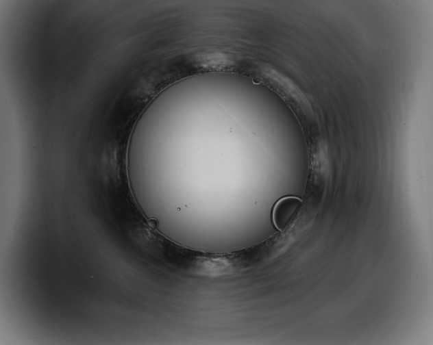 X0000100500572200806131439