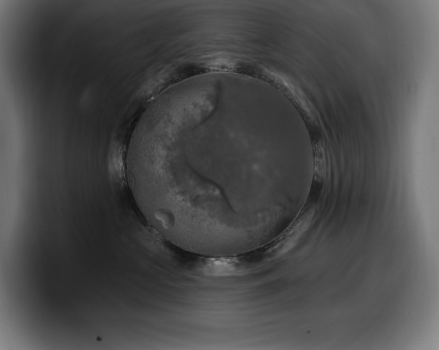 X0000100500573200806131439