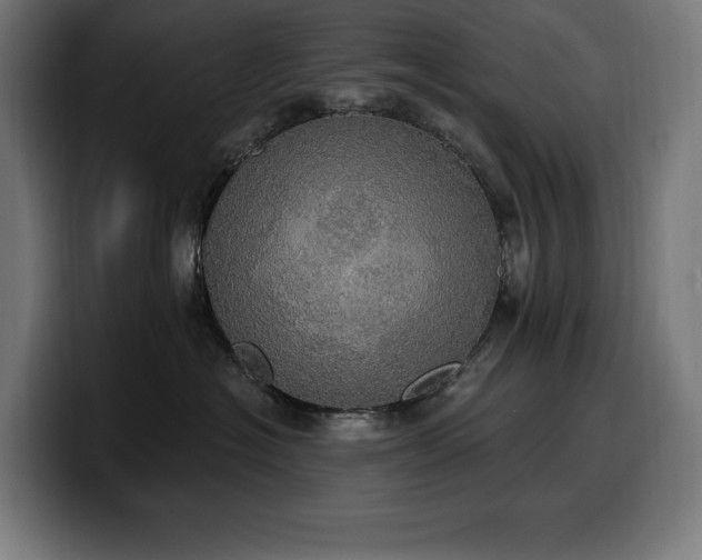 X0000100500574200806131439