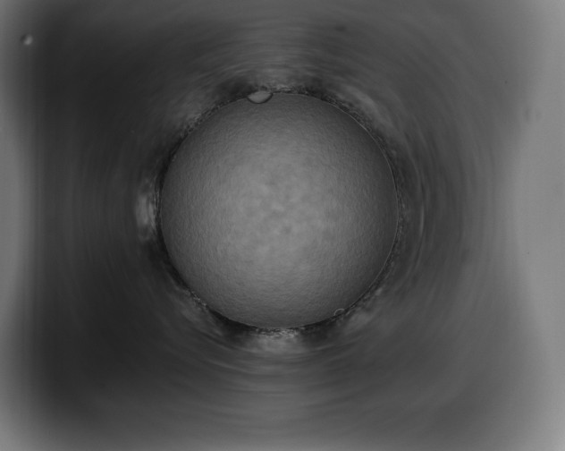 X0000100500576200806131439