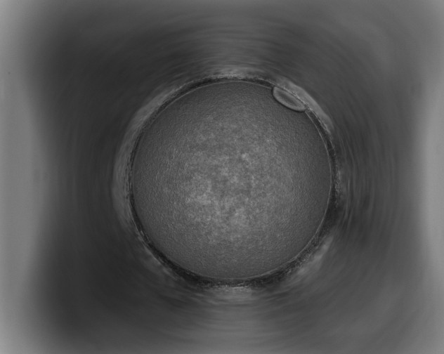 X0000100500577200806131438