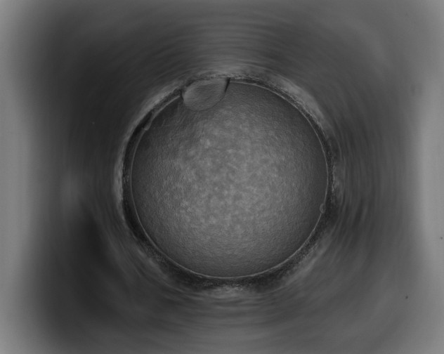 X0000100500578200806131438