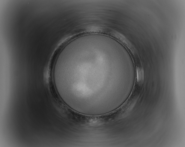 X0000100500579200806131438