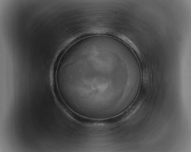 X0000100500581200806131438