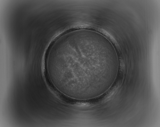 X0000100500582200806131438