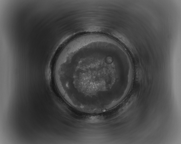 X0000100500584200806131438