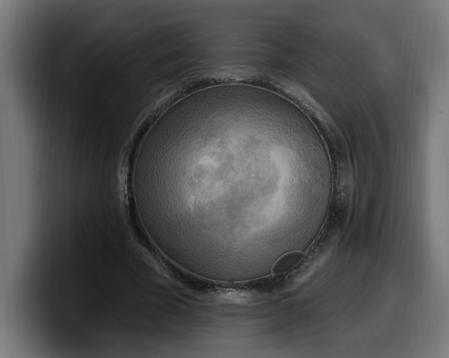 X0000100500585200806131438