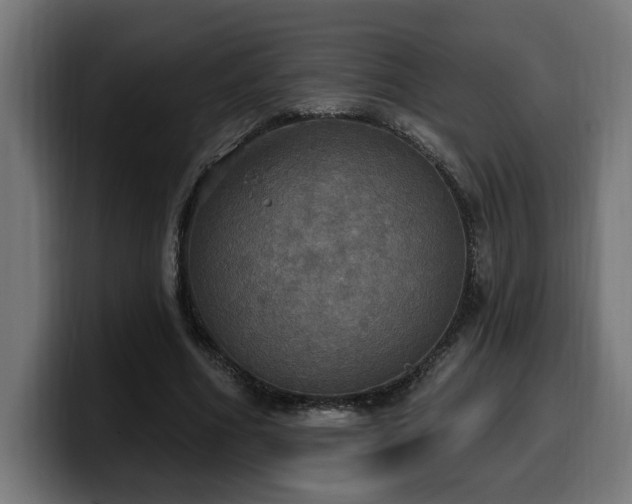 X0000100500586200806131438