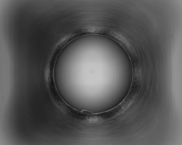 X0000100500587200806131438