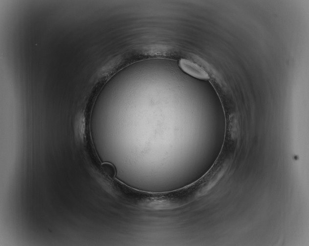 X0000100500589200806131438