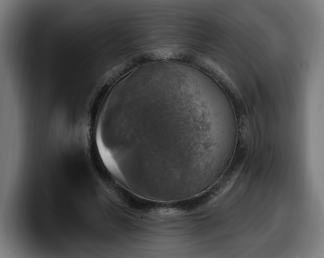 X0000100500590200806131438