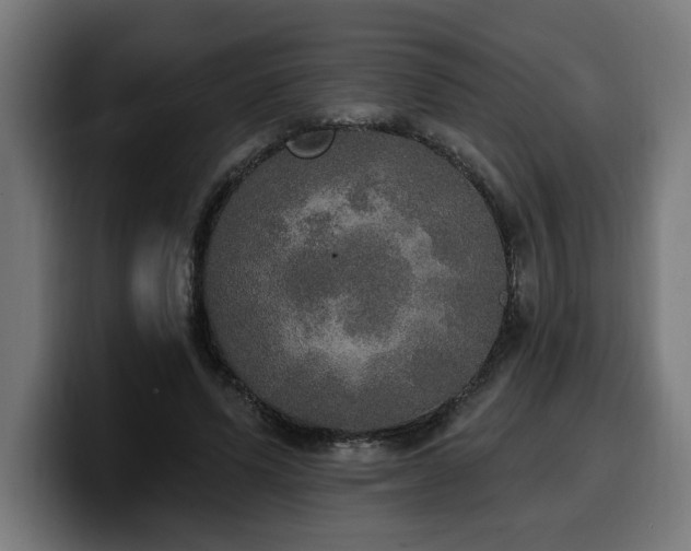 X0000100500591200806131438