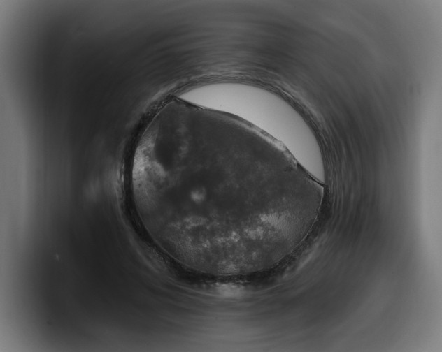 X0000100500592200806131438