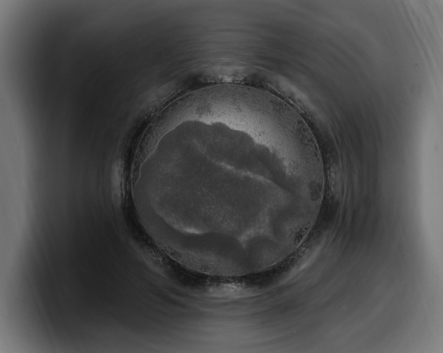 X0000100500594200806131438