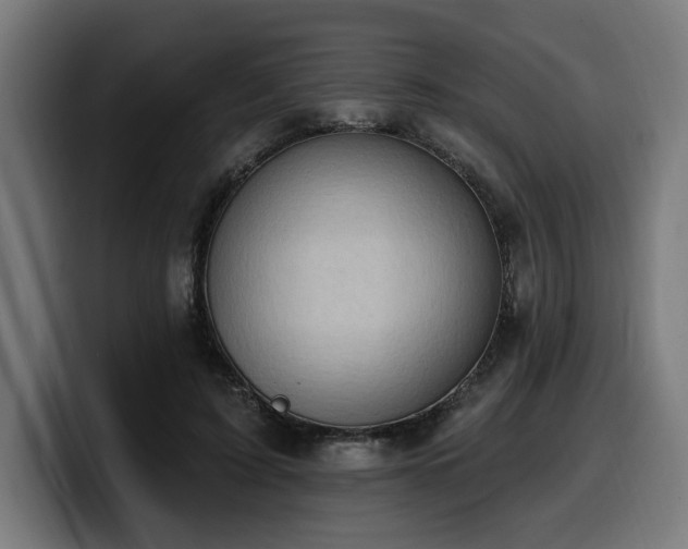 X0000100500595200806131438